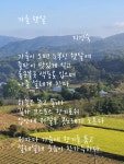 가을 햇살 - 지경숙 - 시화방(Photo&Poem) - 아름다운노래교실 가을 햇살 - 지경숙