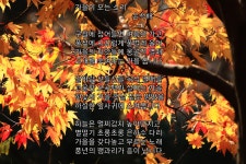 가을이 오는 소리 - 손석배 - 시화방(Photo&Poem) - 아름다운노래교실 가을이 오는 소리 - 손석배