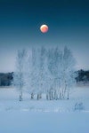 설야 /이호남 - 시화방(Photo&Poem) - 아름다운노래교실 설야 /이호남