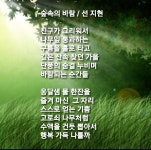숲속의 바람 / 선지현 - 시화방(Photo&Poem) - 아름다운노래교실 숲속의 바람 / 선지현