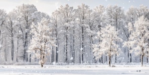 오늘, 마음에게 - 일반 게시판 - 황재농장 오늘, 마음에게