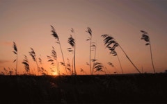 남산 둘레길 걷기 / 10월 16일 목요일 오후 2시 동대 입구역 - 남산 둘레길 걷기 10월 16일 목요일14:00 동대역 - 5670 아름다운 동행친구... 