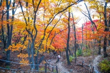 무릉계~~ 소금강산 - 10/26(일)명승지1호 작은금강산 단풍속으로~~소금강산 - 5670 아름다운... 단풍과 기암괴석 여기가 무릉계~~ 소금강산