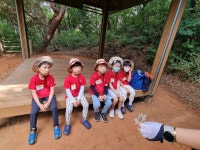 영모재숲체험[나연,보겸,시훈,우혁,지후] - 강들반 활동 - 시립트리플포레어린이집 영모재숲체험[나연,보겸,시훈,우혁,지후]