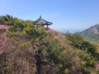 덕촌1리-낙성지- ▲조화봉- 대견봉- 월광봉-휴양림-오산2리 3 - 비슬산... 보고 걷고 덕촌1리-낙성지- ▲조화봉- 대견봉- 월광봉-휴양림-오산2리 3