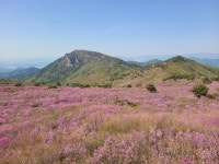 덕촌1리-낙성지- ▲조화봉- 대견봉- 월광봉-휴양림-오산2리 3 - 비슬산_ 주변 - 보고 걷고 덕촌1리-낙성지- ▲조화봉- 대견봉- 월광봉-휴양림... 