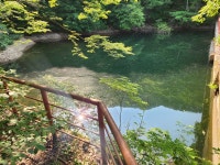부상1리- ▲서봉 - 칼다봉-대혜담-대혜폭포-금오지-구미역 3 - 금오산, 제석봉_ 주변 - 보고 걷고 부상1리- ▲서봉 - 칼다봉-대혜담-대혜폭포... 