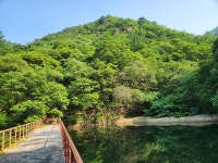 부상1리- ▲서봉 - 칼다봉-대혜담-대혜폭포-금오지-구미역 3 - 금오산, 제석봉_ 주변 - 보고 걷고 부상1리- ▲서봉 - 칼다봉-대혜담-대혜폭포... 
