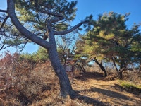 벽계통나무집- 쇠목재- ▲자굴산- 한우산- 산성산- 벽계마을 3 - 한우산... 보고 걷고 벽계통나무집- 쇠목재- ▲자굴산- 한우산- 산성산- 벽계마을 3