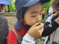 (7/10후기)야호~계곡이라서 신난다 - (지난탐험대) 장유창원탐험대 - 버들숲놀이터 (7/10후기)야호~계곡이라서 신난다