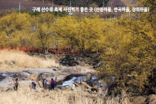 월출산 몽햇들 탐방기 - ┗Ch 05┃명승지 찾아서 - 창작문학 마줌 정 담소 월출산 몽햇들 탐방기