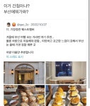눈올때 가면 진짜 예쁘다는 부산 카페.jpg - 🚀 이슈늬우스 - 방석 위로 모여라 눈올때 가면 진짜 예쁘다는 부산 카페.jpg