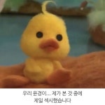 웨이비 노제가 좋아요 누른 글 - 🚀 이슈늬우스 - 방석 위로 모여라 웨이비 노제가 좋아요 누른 글