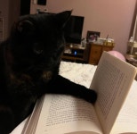 안유성 명장님을 시기하고 질투하고 시샘하고 어쩌고저쩌고...jpg - 🚀 이슈늬우스 - 방석 위로 모여라 안유성 명장님을 시기하고 질투하고... 