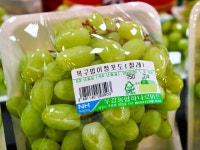 농협 하나로마트 직원의 과일이름 작명센스 - 인스티즈(instiz) 이슈 카테고리 농협 하나로마트 직원의 과일이름 작명센스