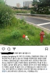 동물병원 관리 소홀로 실종되었던 강아지 랑랑이 소식 - 인스티즈(instiz) 이슈 카테고리 동물병원 관리 소홀로 실종되었던 강아지 랑랑이 소식