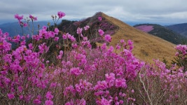 산행 및 일정 공지사항 - 산이랑 소개 및 운영 방침 - 산이랑. 산행 및 일정 공지사항
