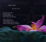 궁남지 홍연 - 김인희 시화전 - 詩와 별 궁남지 홍연