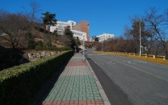부산지역 대학생들이 가장 부러워하는 대학 캠퍼스 - 악플달면... 차분한 20대들의 알흠다운 공간 부산지역 대학생들이 가장 부러워하는 대학 캠퍼스