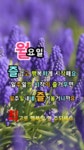 화요일엔뽀꼬목요일엔까꼬 | 🍒카톡 인사글＜요일＞ - (775) - ♥ ,·´″″°³카톡이미지 - 즐거운 추억만들기 🍒카톡 인사글＜요일＞ - (775)