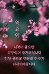화요일엔뽀꼬목요일엔까꼬 | 🍒카톡 인사글＜요일＞ - (775) - ♥ ,·´″″°³카톡이미지 - 즐거운 추억만들기 🍒카톡 인사글＜요일＞ - (775)