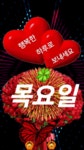 화요일엔뽀꼬목요일엔까꼬 | 🍒카톡 인사글＜요일＞ - (775) - ♥ ,·´″″°³카톡이미지 - 즐거운 추억만들기 🍒카톡 인사글＜요일＞ - (775)