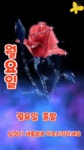 화요일엔뽀꼬목요일엔까꼬 | 🍒카톡 인사글＜요일＞ - (775) - ♥ ,·´″″°³카톡이미지 - 즐거운 추억만들기 🍒카톡 인사글＜요일＞ - (775)