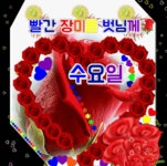 화요일엔뽀꼬목요일엔까꼬 | 🍒카톡 인사글＜요일＞ - (775) - ♥ ,·´″″°³카톡이미지 - 즐거운 추억만들기 🍒카톡 인사글＜요일＞ - (775)