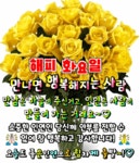 화요일엔뽀꼬목요일엔까꼬 | 🍒카톡 인사글＜요일＞ - (775) - ♥ ,·´″″°³카톡이미지 - 즐거운 추억만들기 🍒카톡 인사글＜요일＞ - (775)