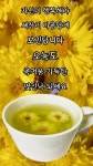 🍒카톡 인사말 - (660) - ♥ ,·´″″°³카톡이미지 - 즐거운 추억만들기 🍒카톡 인사말 - (660)
