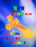화요일엔뽀꼬목요일엔까꼬 | 🍒카톡 인사글＜요일＞ - (775) - ♥ ,·´″″°³카톡이미지 - 즐거운 추억만들기 🍒카톡 인사글＜요일＞ - (775)