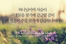 주님께서는 마음을 다하여라고 말씀하셨다 (카이퍼) - 아브라함 카이퍼 - 가나안 신자와 초보 신학생 주님께서는 
