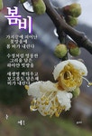 봄비 ㅡ이 은하 노래ㅡ우중의 여인 ㅡ나 훈아 노래ㅡ 비오는 이미지 영상 ㅡ가사 첨부합니다ㅡ - 가요 민요 팦송방 - 서울 산이조아 산행 봄비 ㅡ이... 