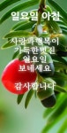 여러분 편한한가요 ㅡ정 수빈 노래ㅡ 아름다운 영상 ㅡ가사 첨부합니다ㅡ - 가요 민요 팦송방 - 서울 산이조아 산행 여러분 편한한가요 ㅡ정 수빈... 