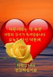 단명하는 사람과ㅡ건강하게 생활하는 사랑의 차이ㅡ - 청솔 경운아방 - 서울 산이조아 산행 단명하는 사람과ㅡ건강하게 생활하는 사랑의 차이ㅡ