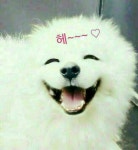 ㅡ오직 주인만을 바라보고 있다ㅡ 이름만 불러도 기분이 좋아지는... 가만히 앉아 ㅡ오직 주인만을 바라보고 있다ㅡ 이름만 불러도 기분이 좋아지는