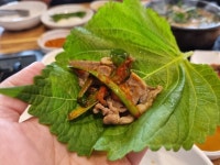 산이조아 산행 오리 이야기ㅡ오리고기의 진실 ㅡ ‘오리고기는 남의 입에 것도ㅡ 빼앗아 먹어야 한다’는 말이 있다 ㅡ그만큼 건강에 좋다고... 