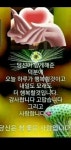 내삶에 이유있음에ㅡ이 미자노래ㅡ많고많은 사람중에ㅡ선택받은 우리의 인연ㅡ그대참 고마운 인연ㅡ고맙고 감사합니다 ㅡ공놀이 영상입니다ㅡ... 