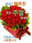 여로ㅡ이 미자노래ㅡ 여러가지 아름다운 ㅡ나무 영상 입니다ㅡ - 가요 민요 팦송방 - 서울 산이조아 산행 여로ㅡ이 미자노래ㅡ 여러가지 아름다운... 