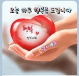 건강정보ㅡ고뢰쇠물 효능7가지ㅡ - 청솔 경운아방 - 서울 산이조아 산행 건강정보ㅡ고뢰쇠물 효능7가지ㅡ