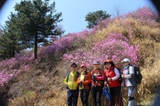 가평.호명산 호명호수ㅡ 진달래.벚꽃 산행ㅡ청평역 출발 ㅡ호명산 虎鳴山 632.4m ㅡ 호명호 虎鳴湖 530.3m ㅡ상천역 하산 ㅡ - 서울 산이조아... 