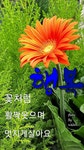무심세월 ㅡ나 훈아 노래ㅡ 아름다운 영상 ㅡ가사 첨부합니다ㅡ - 가요 민요 팦송방 - 서울 산이조아 산행 무심세월 ㅡ나 훈아 노래ㅡ 아름다운... 