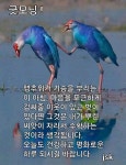 아름다운 새소리 ㅡ아침을 노래합니다ㅡ온갖새들의 ㅡ아름다운 노래소리ㅡ - 가요 민요 팦송방 - 서울 산이조아 산행 아름다운 새소리 ㅡ아침을... 