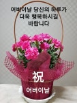 우리아버지 ㅡ전 승호 노래ㅡ 아버지 이미지ㅡ 영상입니다 ㅡ 어버이날 ㅡ 은혜에ㅡ 감사드립니다ㅡ - 가요 민요 팦송방 - 서울 산이조아 산행... 