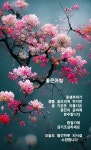 인생수업ㅡ어느 기분 좋은 봄날ㅡ 갓 결혼한 부부가 저녁을 먹고... " - 청솔 경운아방 - 서울 산이조아 산행 인생수업ㅡ어느 기분 좋은 봄날ㅡ 갓...