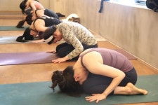 건강정보 ㅡ장수십결 (張壽十決)ㅡ 호흡법(呼吸法)ㅡ 공기는 바로 기(氣)이다ㅡ 우리가 마시는 물은 ㅡ우선 피가 된다.ㅡ - 청솔 경운아방 - 서울... 