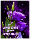 정보 ㅡ치맛바람에 짐싸는 중개사들 ㅡ - 청솔 경운아방 - 서울 산이조아 산행 정보 ㅡ치맛바람에 짐싸는 중개사들 ㅡ