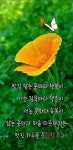 사는동안 ㅡ이 태호 노래ㅡ인생이 별거냐 ㅡ 즐겁게 살자ㅡ - 가요 민요 팦송방 - 서울 산이조아 산행 사는동안 ㅡ이 태호 노래ㅡ인생이 별거냐 ㅡ... 