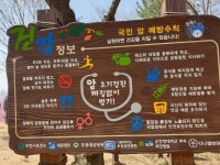 부천 원미산 진달래 축제 ㅡ 경기도 부천시 춘의동 원미산ㅡ 일대에서 매년4월경 ㅡ열리는 꽃축제 ㅡ 원미산 정상 168 m ㅡ춘덕산 - 근교... 