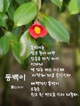 최고의 친구ㅡ소명 노래ㅡ아름다운 글 ㅡ영상 입니다ㅡ - 가요 민요 팦송방 - 서울 산이조아 산행 최고의 친구ㅡ소명 노래ㅡ아름다운 글 ㅡ영상... 